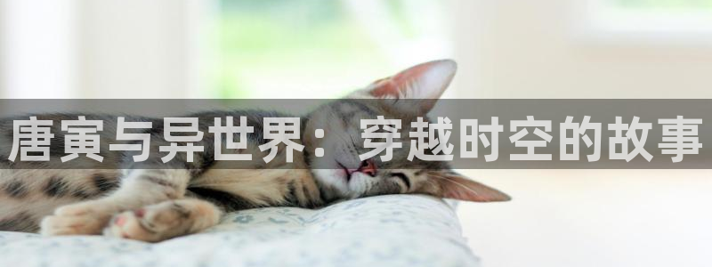 yy漫画漫画首页：唐寅与异世界：穿越时空的故事